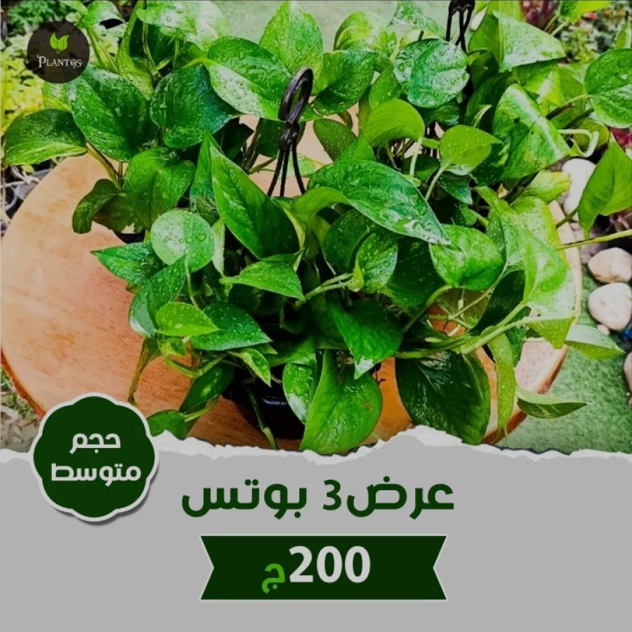 عرض تلاته بوتس