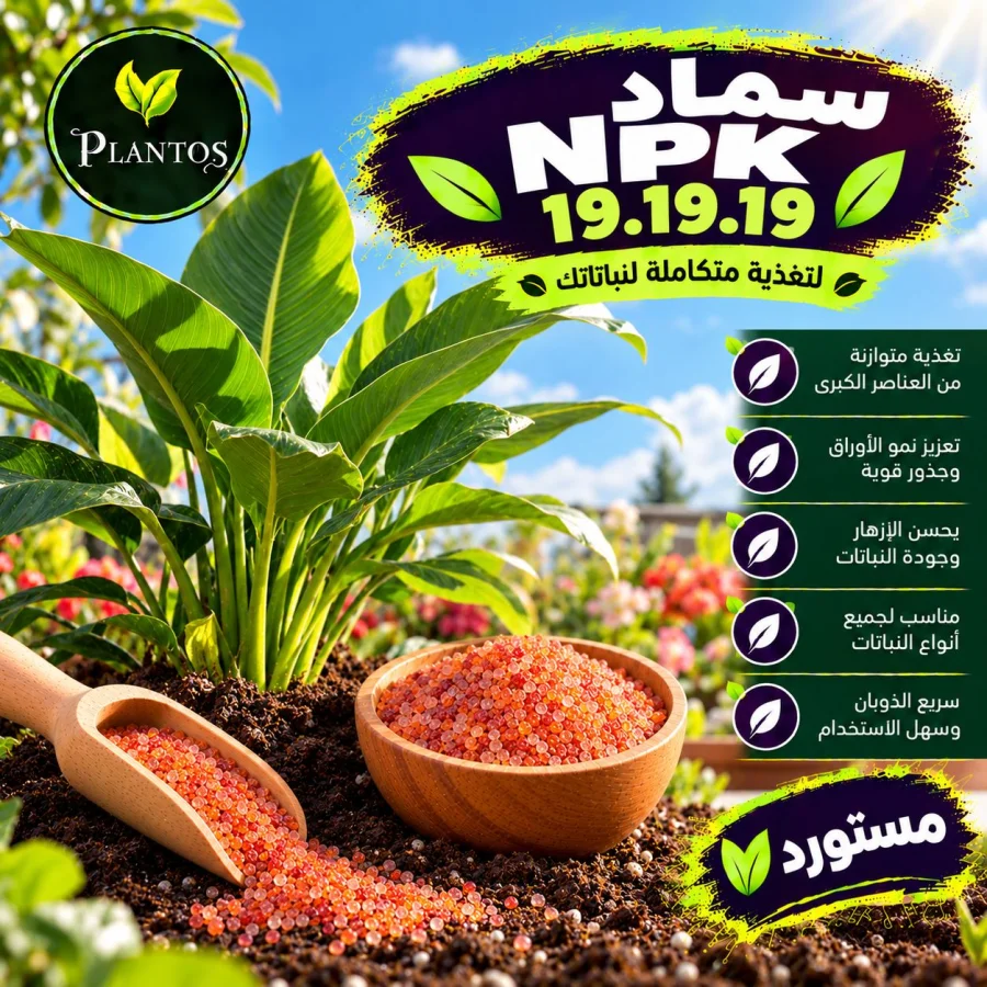 Npk 19.19.19 مستورد صغير